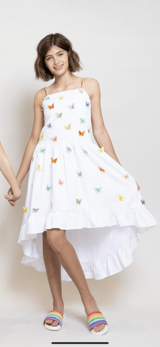 3D Rainbow Butterfly High Low Dress