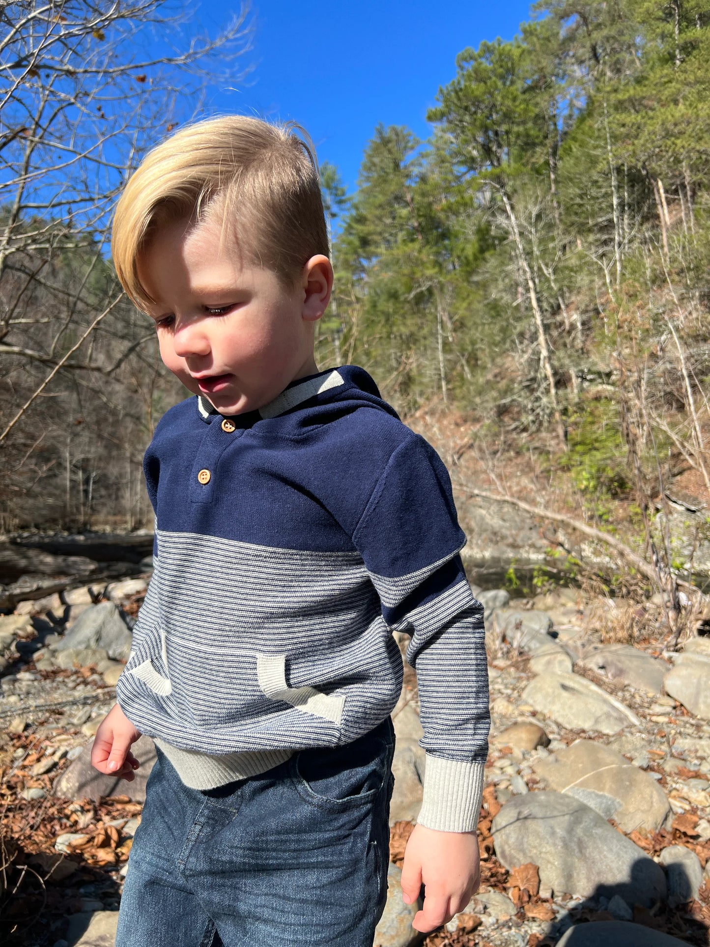 Navy Striped Hiker Hooded Sweater