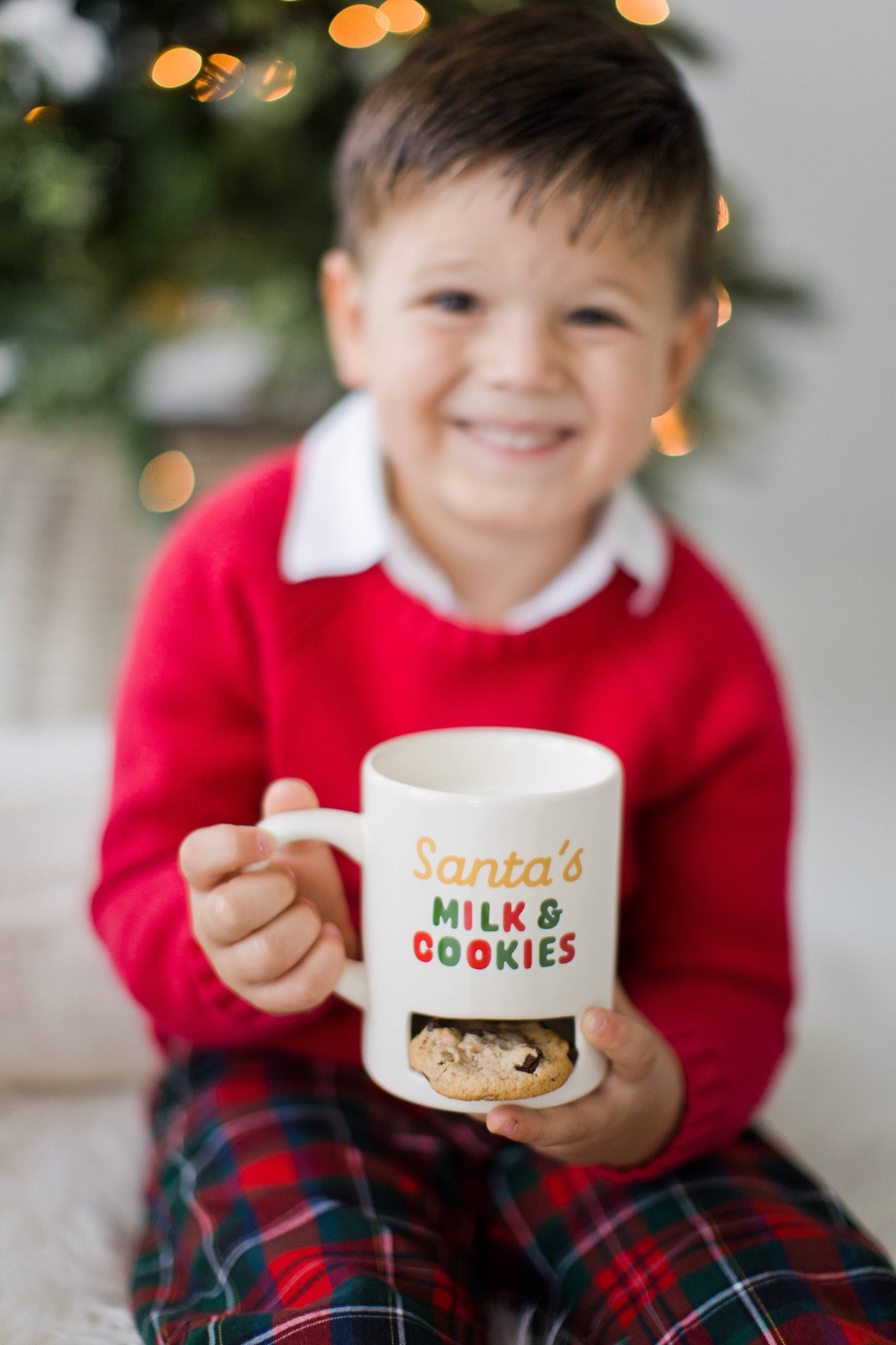 Santa’s Milk & Cookies Mug
