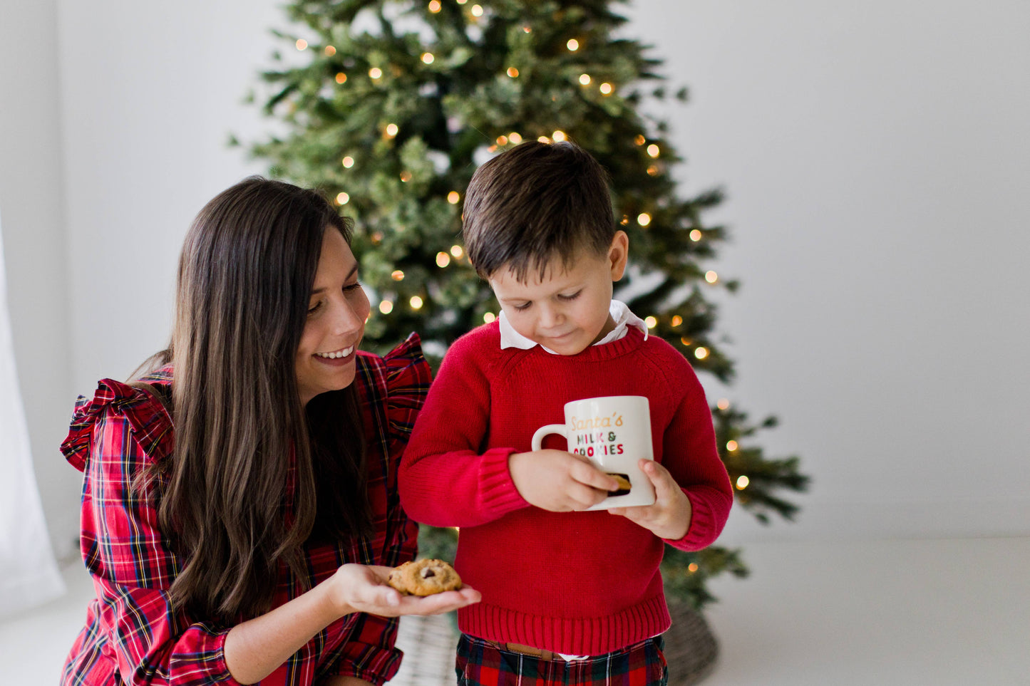 Santa’s Milk & Cookies Mug
