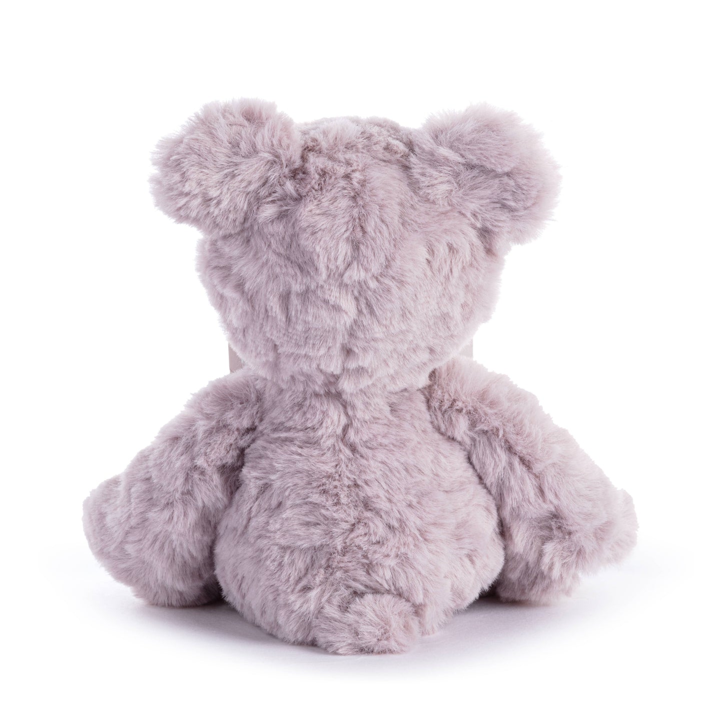 Friendship Purple Bear