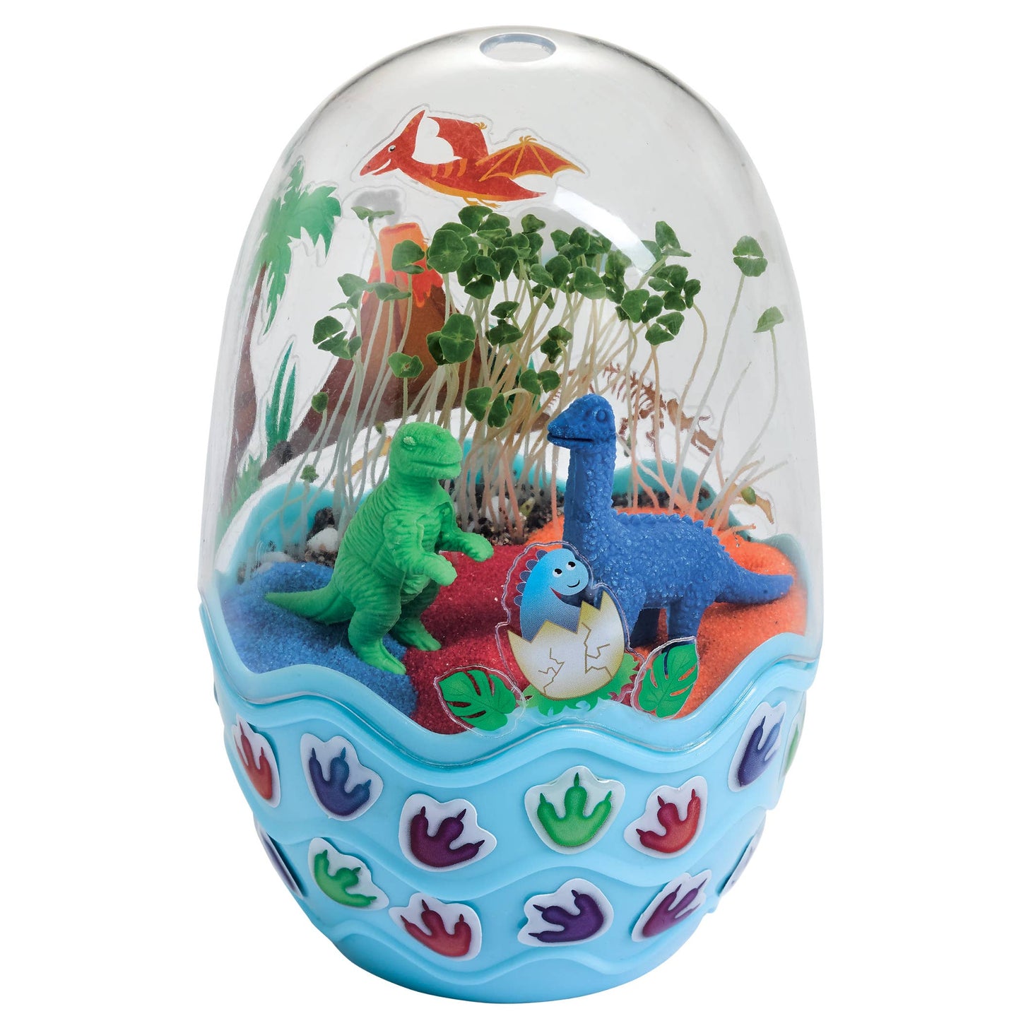 Grow a Mini Garden– Dinosaur