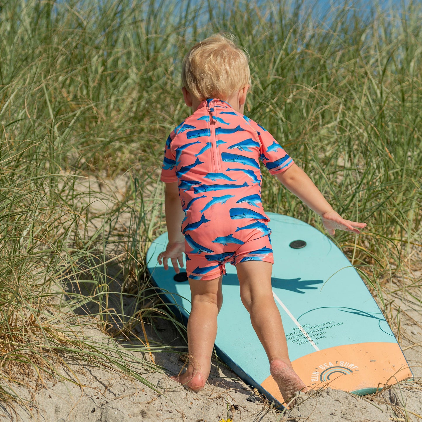 Whale Tail SS Sunsuit