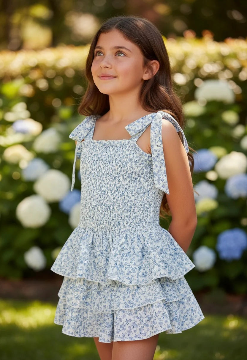 Blue Mini Toile Dress