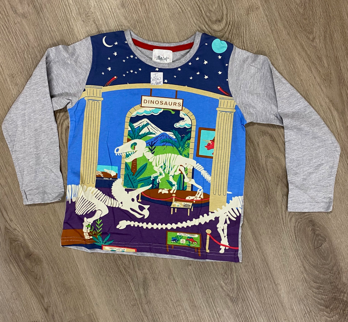 Glow In The Dark Dinosaur Shirt