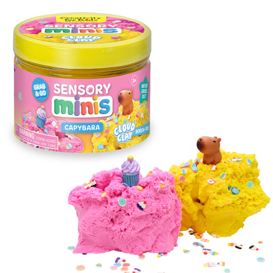 Sensory Mini Kit: Capybara
